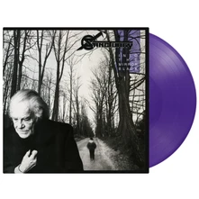 Vinyl INTO THE MIRROR BLACK