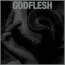 CD GODFLESH - PURGE