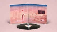Vinyl HOME VIDEO