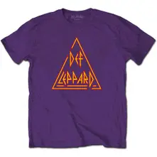 Classic Triangle Logo thumbnail