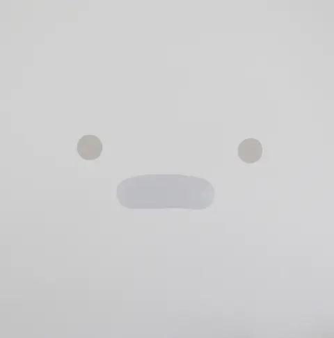 Silicon – Vinyl PERSONAL COMPUTER