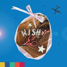Wishy, CD PARADISE ON PLANET POPSTAR