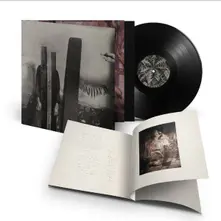 Trelldom, Vinyl ...By the Word