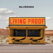 Vinyl LIVING PROOF