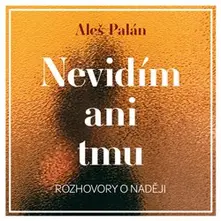 Nevidím ani tmu (1x Audio na CD - MP3) thumbnail