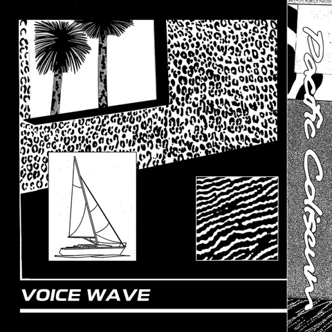 VOICE WAVE