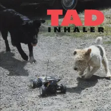 Inhaler thumbnail