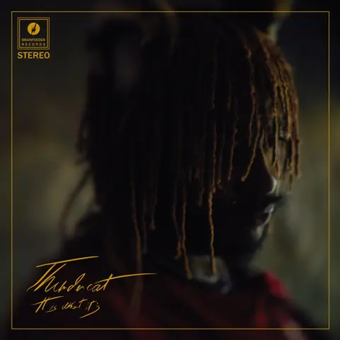 Thundercat - It is What It is