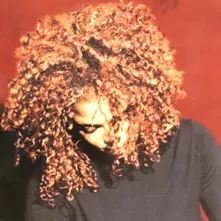 The Velvet Rope thumbnail