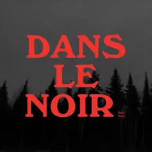 Vinyl DANS LE NOIR