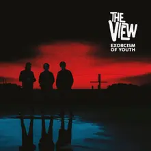 Vinyl Exorcism of Youth
