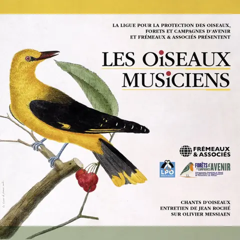 LES OISEAUX MUSICIENS....