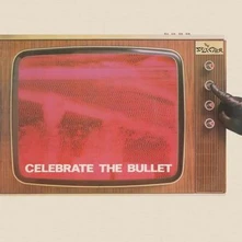 The Selecter, CD CELEBRATE THE BULLET
