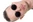 Danosť