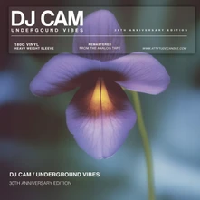 DJ Cam, Vinyl UNDERGROUND VIBES