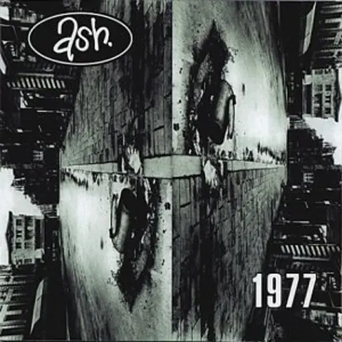 1977