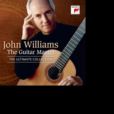 The Guitar Master
