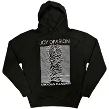 Unknown Pleasures FP thumbnail