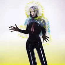 Vulnicura thumbnail