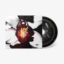 CELLOPHANE MEMORIES thumbnail