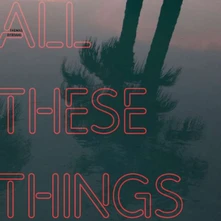 Thomas Dybdahl, Vinyl ALL THESE THINGS