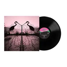 The Afghan Whigs, Vinyl SOFT CONTROL
