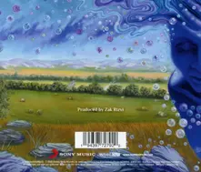 The Absence of Presence thumbnail