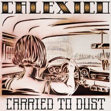 Vinyl CARRIED TO DUST