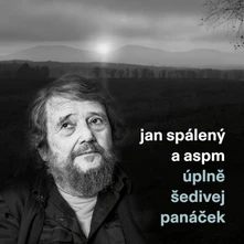 Vinyl Úplně Šedivej Panáček