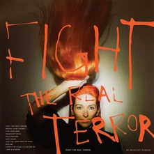 My Brightest Diamond, CD FIGHT THE REAL TERROR