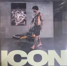 CD ICON