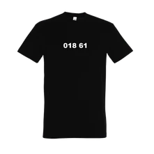 018 61 thumbnail
