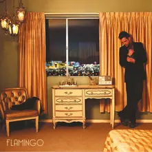 Vinyl FLAMINGO