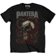 Serpent Skull