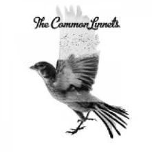The Common Linnets, CD THE COMMON LINNETS