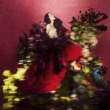 CD WARE JESSIE - Superbloom