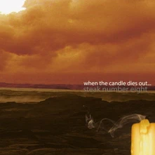 STAKE, Vinyl WHEN THE CANDLE DIES OUT