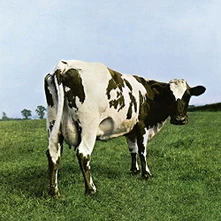 Pink Floyd, CD Atom Heart Mother