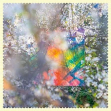 Four Tet, Vinyl SIXTEEN OCEANS