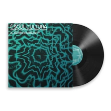 Vinyl KEEP ON LIVIN' / LATE ...