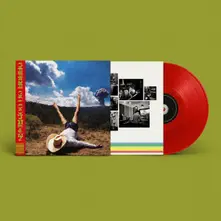 Geese – 3D COUNTRY (Vinyl)