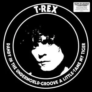 T. Rex – Vinyl DANDY IN THE UNDERWORLD (2019)