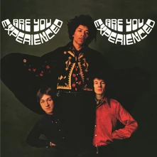 Vinyl Are You Experienced