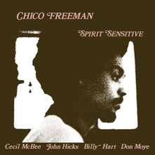Vinyl SPIRIT SENSITIVE
