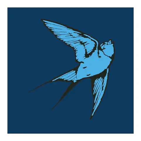 Tom Speight – Vinyl LOVE & LIGHT