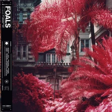 Foals, CD EVERYTHING NOT SAVED WILL BE LOST PART 1