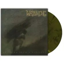 Vinyl Watching From a Distance