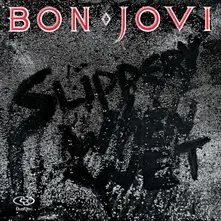 SLIPPERY WHEN WET thumbnail