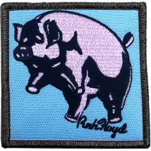 Animals Pig thumbnail