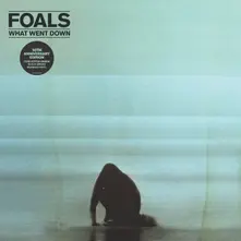 Foals, Vinyl WHAT WENT DOWN